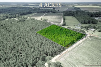 000 County Farm Rd, Blackshear, GA 31516