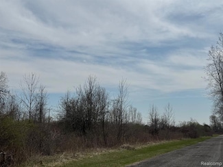 00 Metcalf Rd, North Street, MI 48049