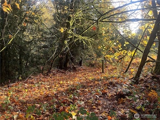 8621 Bethel Burley Rd SE, Port Orchard, WA 98367