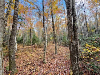 00 W Main St, Lunenburg, VT 05906