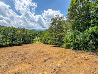 0 Island Cove Rd Unit Lot 4 11516046, Rocky Top, TN 37769