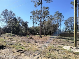 113 Osborne St, Interlachen, FL 32148