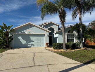 31053 Wolfert Place, Wesley Chapel, FL 33543