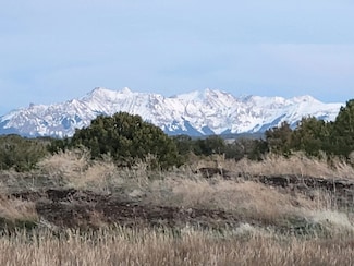 6 V44 Rd, Norwood, CO 81423