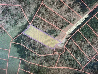 Lot 94 C Heron Landing Ct, Gretna, VA 24557