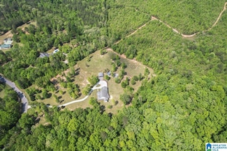 1000 Beaver Ridge Cir, Ashville, AL 35953