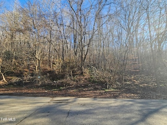 00 Crusenberry Rd, Saltville, VA 24370