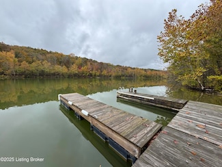 105 Conoloway Bay Dr, Clarkson, KY 42726