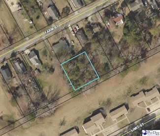 TBD Farm St, Darlington, SC 29532
