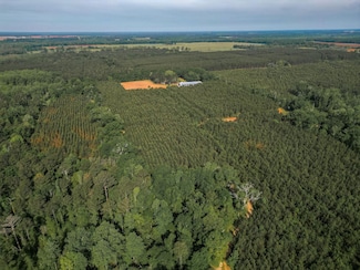 0 County Road 5, Shellman, GA 39886