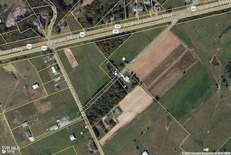 Tbd Highway 11e, Telford, TN 37690