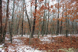 TBD County Road 2290, Willow Springs Township, MO 65548