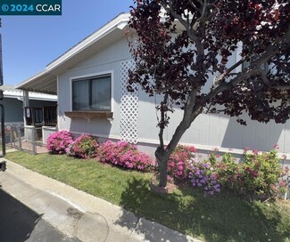 3705 Hawthorne Dr Unit 12, Bethel Island, CA 94511