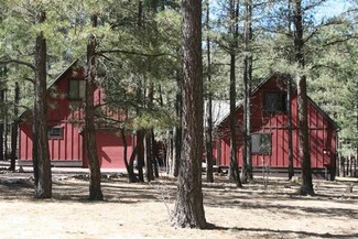 23 County Road 2065 Unit LOT 1 ALPINE HIGHLAN, Alpine, AZ 85920