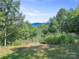 4.8 Acres Mountain Lily Ridge Dr, Swannanoa, NC 28778