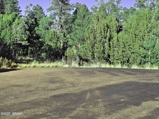 1526 Foxtail Ln, Heber, AZ 85928