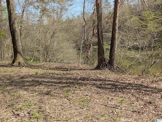 LOT 3 River Crest Dr Unit 3, Cordova, AL 35550