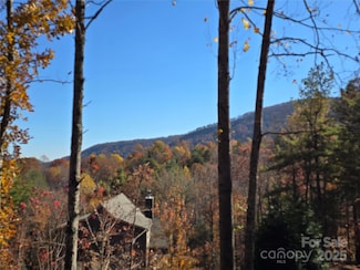 295 S Feather Falls Trail Unit 50, Black Mountain, NC 28711