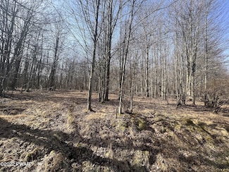 LOT 394 Snowshoe Cir, Lake Ariel, PA 18436