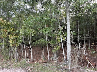 1212  (lot 1) Hudson Rd, Wyboo, SC 29148