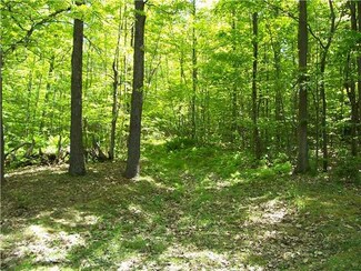 0 Short Tract Rd Unit R175406, Portage, NY 14517