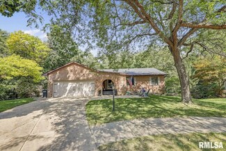 1700 W Blue Spruce Ct, Dunlap, IL 61525