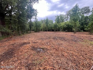 0 Ms-18 Unit 4120556, Raymond, MS 39154