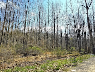 20286 Sherwood Forest Dr, Castor Township, MO 63846