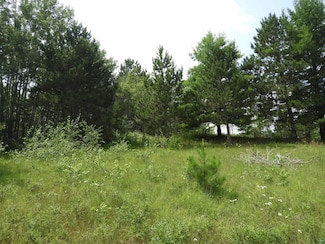 XXXX Moon Dr, Iron River, WI 54847