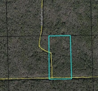 687 SW 595th Ave, Horseshoe Beach, FL 32648