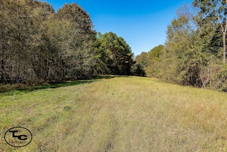 0 Parham Rd, Dresden, TN 38225