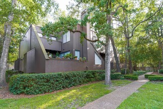 152 Litchfield Ln, Houston, TX 77024