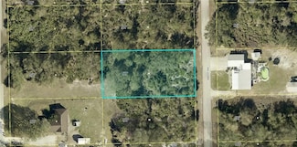2311 Abbott Ave, Alva, FL 33920