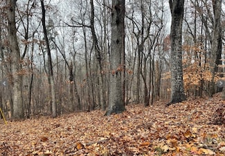 Lot 2134 S Arrowhead Dr, Westminster, SC 29693