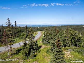 L2 B5 Mountain Air Dr, Anchorage, AK 99516