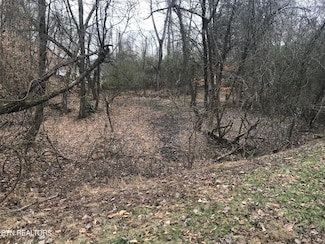 0 Cherokee Cir Unit 1254671, Ten Mile, TN 37880