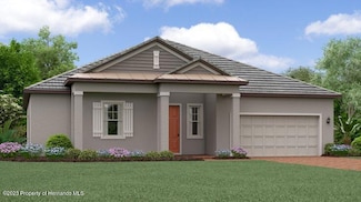 9396 Minnow Ray Dr, Land O' Lakes, FL 34638