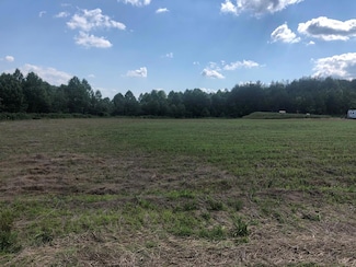 4 Blackhawk Dr, Blue Ridge, GA 30513