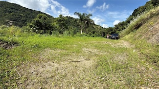 0 Bo Honduras Unit MFRPR9117430, Cidra, PR 00739
