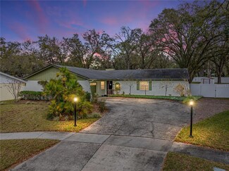 503 Hillpine Way, Brandon, FL 33510