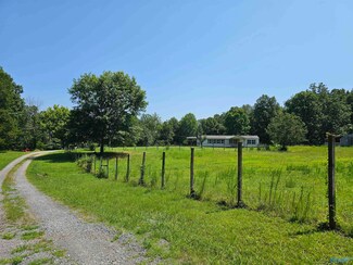 236 Bean Dr, Union Grove, AL 35175