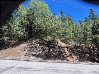 0 Cedar Ct, Angelus Oaks, CA 92305