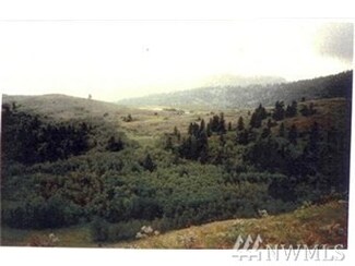9999 Ellemeham Ridge Rd, Oroville, WA 98844