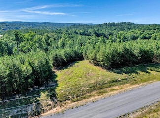 Lot 67 Shoreside Dr, Double Springs, AL 35553