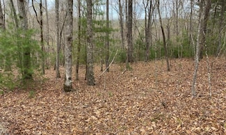 LT 4 Oak Crest Dr, Morganton, GA 30560