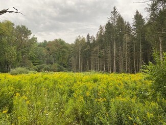 0 Knights Creek - County Rd 9 Rd Unit R1364010, Scio, NY 14880