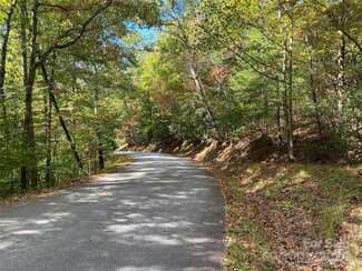 TBD N Blaine Branch Rd, Franklin, NC 28734