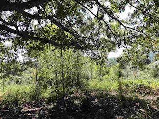 406 acres Baker's Ford Rd, Mammoth Spring, AR 72554