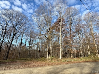 00 Magpie Ln, Truxton, NY 13159