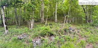 TBD Buckeye Ln, Seven Devils, NC 28604
